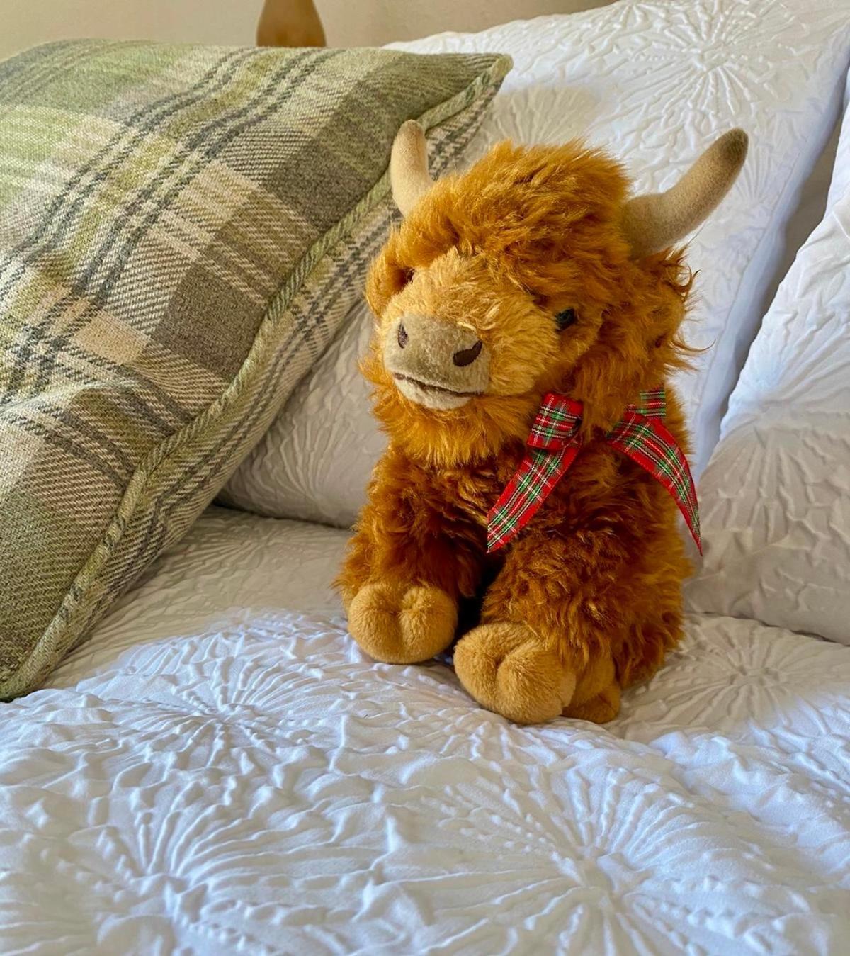 Bruachdryne Braemar Accommodation Luaran gambar